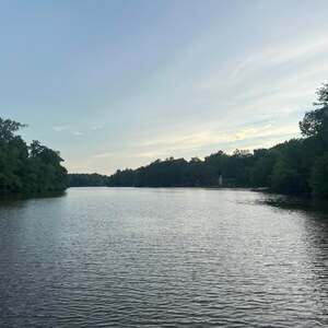 Meet your Posher, Dan